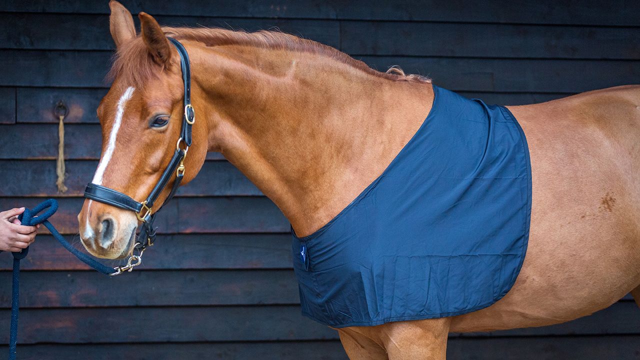 Snuggy Hoods shoulder guard review