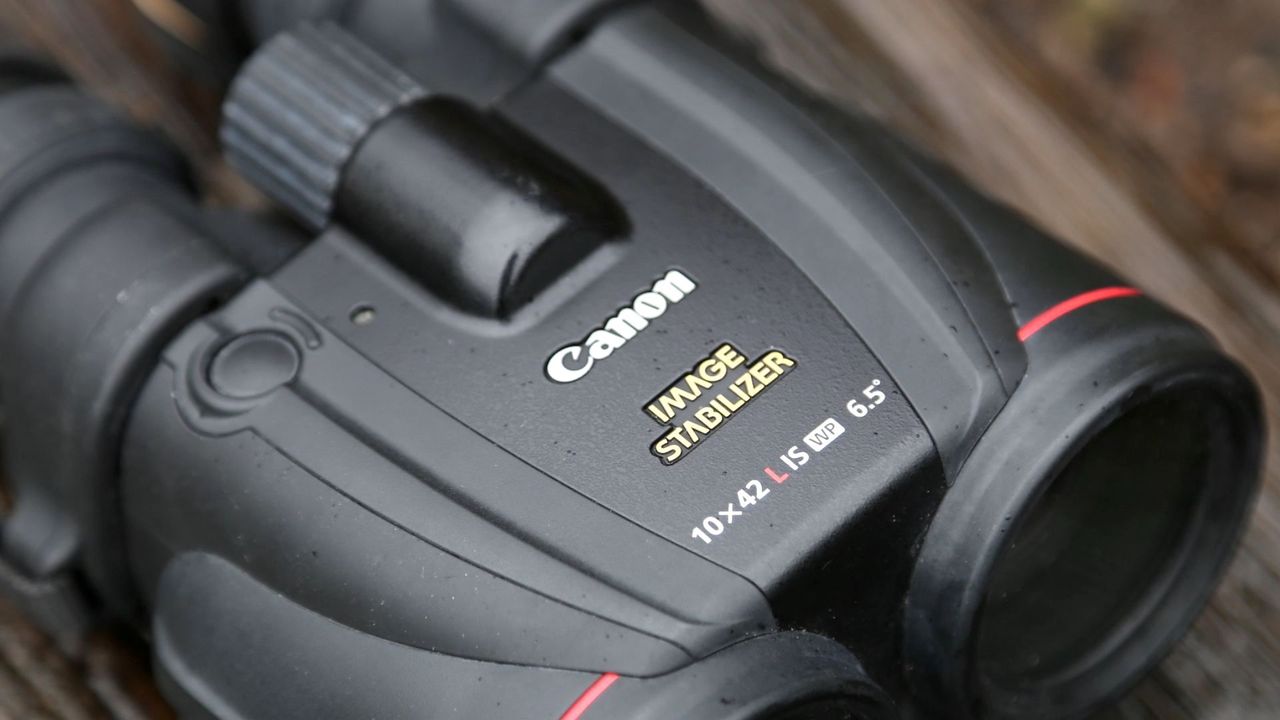 Canon 10x42L IS WP binoculars review