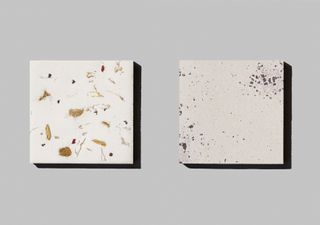 Two tiles side by side featuring light marks featuring dried flowers.