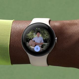 Next camera preview on Pixel Watch