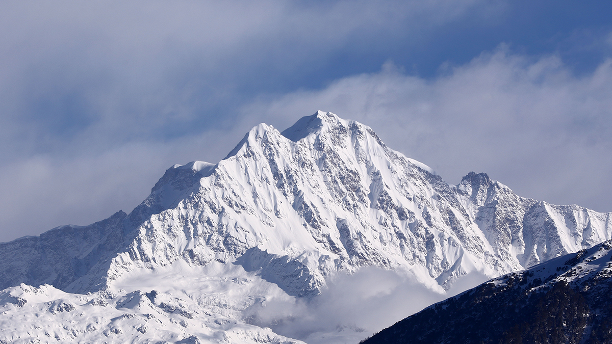 Chaukhamba