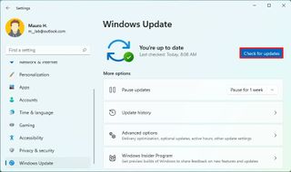 Windows 11 version 22H2 early upgrade