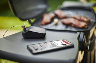 a weber smart grill probe