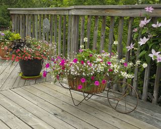 Flower pots and planters on sundeck