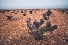 new-wave Air&eacute;n