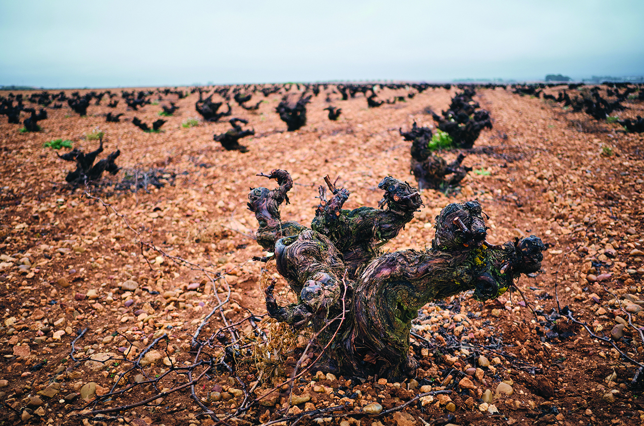 new-wave Air&eacute;n