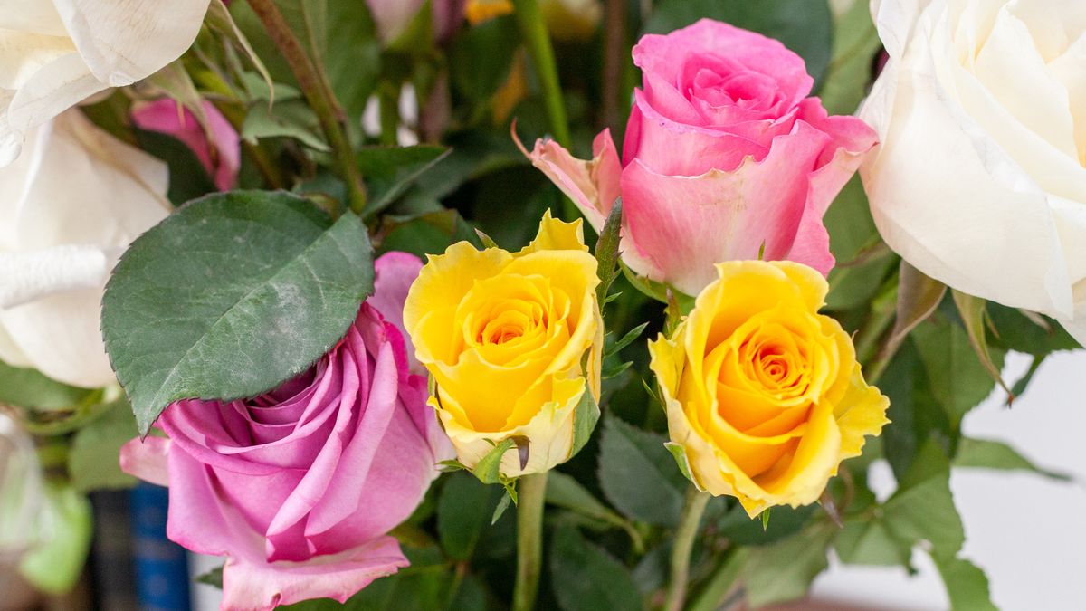 Valentine's Day flowers