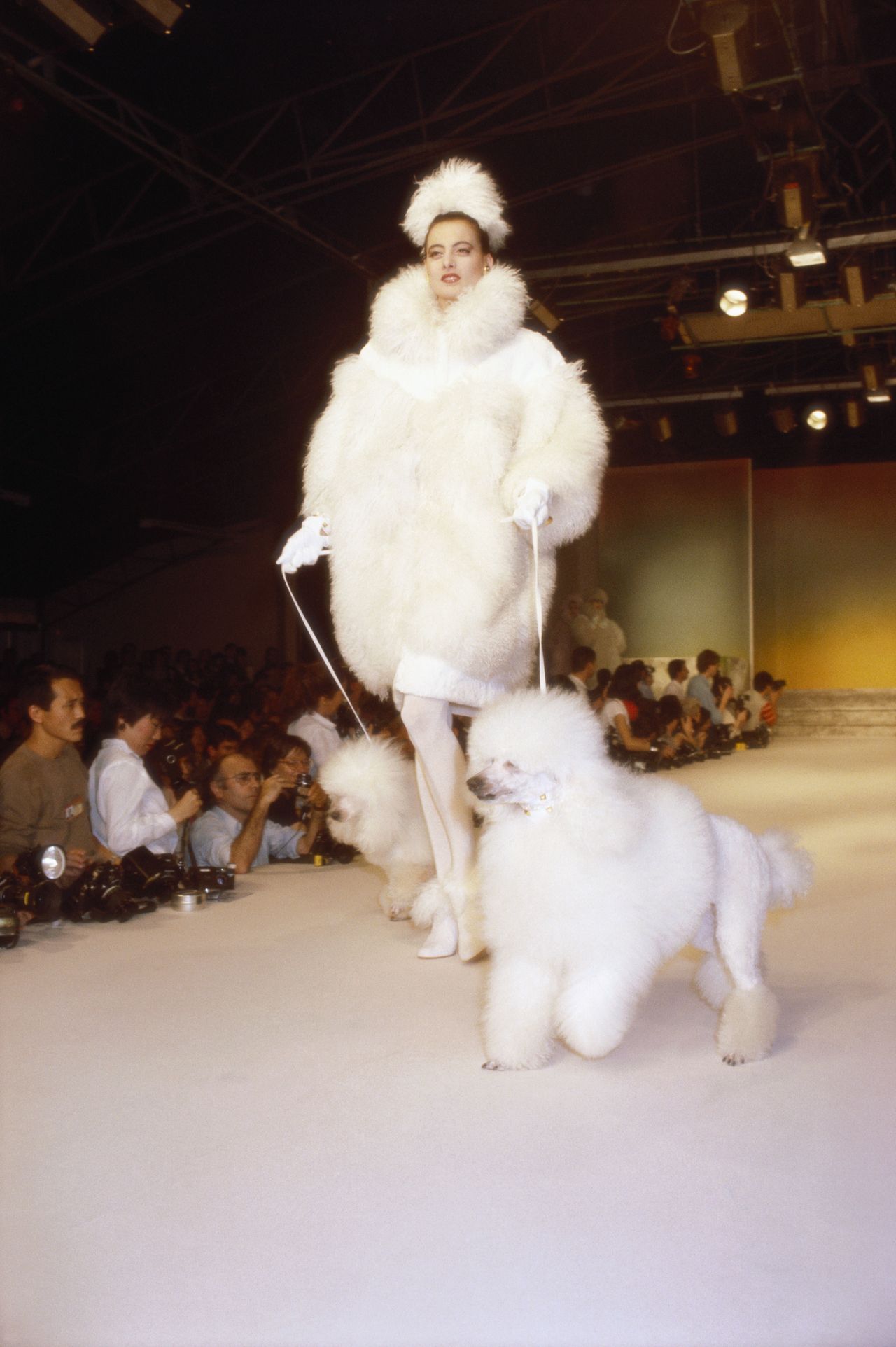 A model dressed in white walks two elaborately groomed white poodles down a runway during a fashion show.