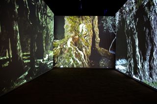 Hala Wardé, A Roof for Silence at the Lebanese Pavilion features projections