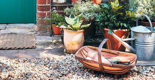 garden with plants stacked on a plant stand next to a garden trug and watering can