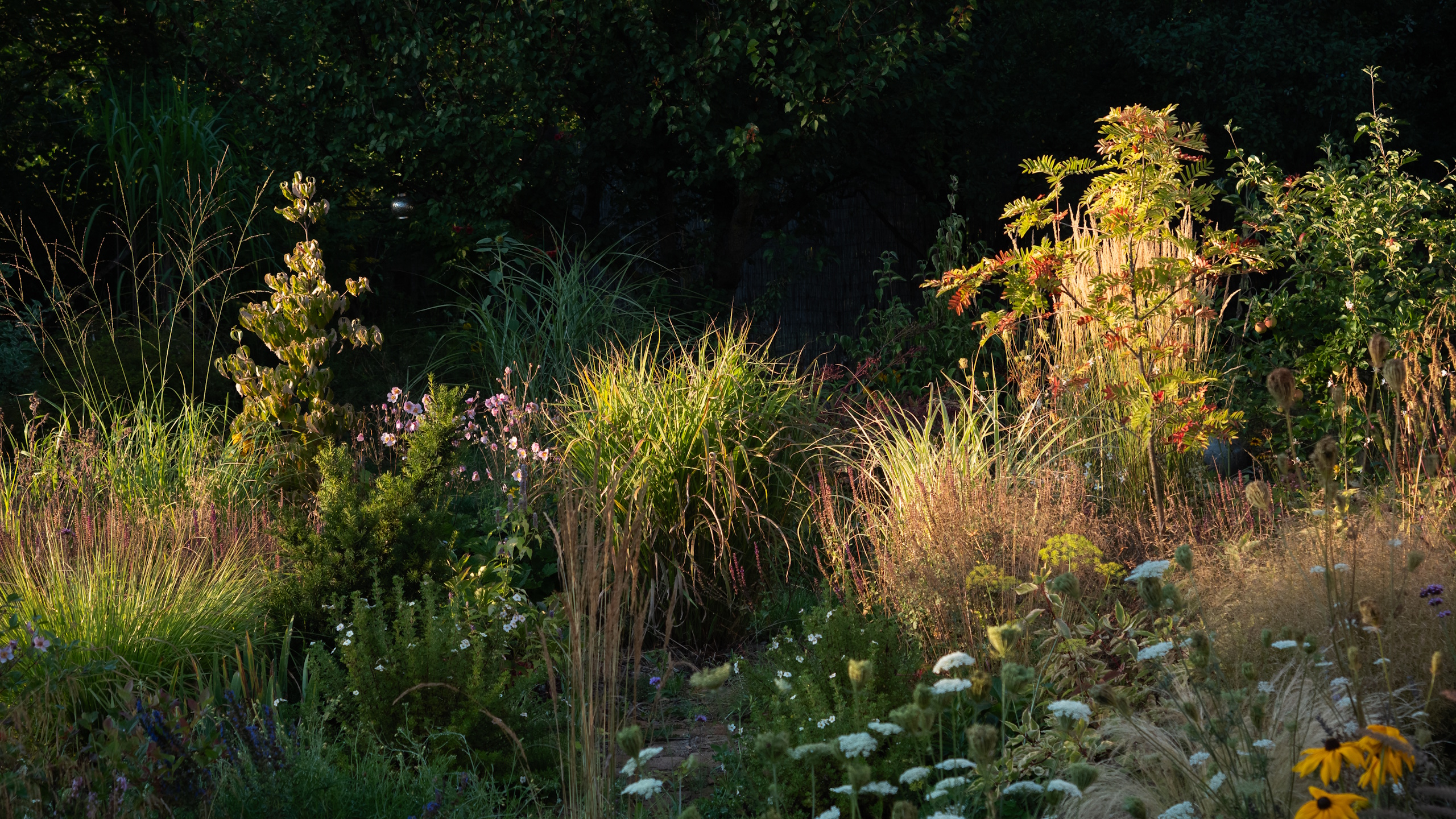 Naturalistic garden border 
