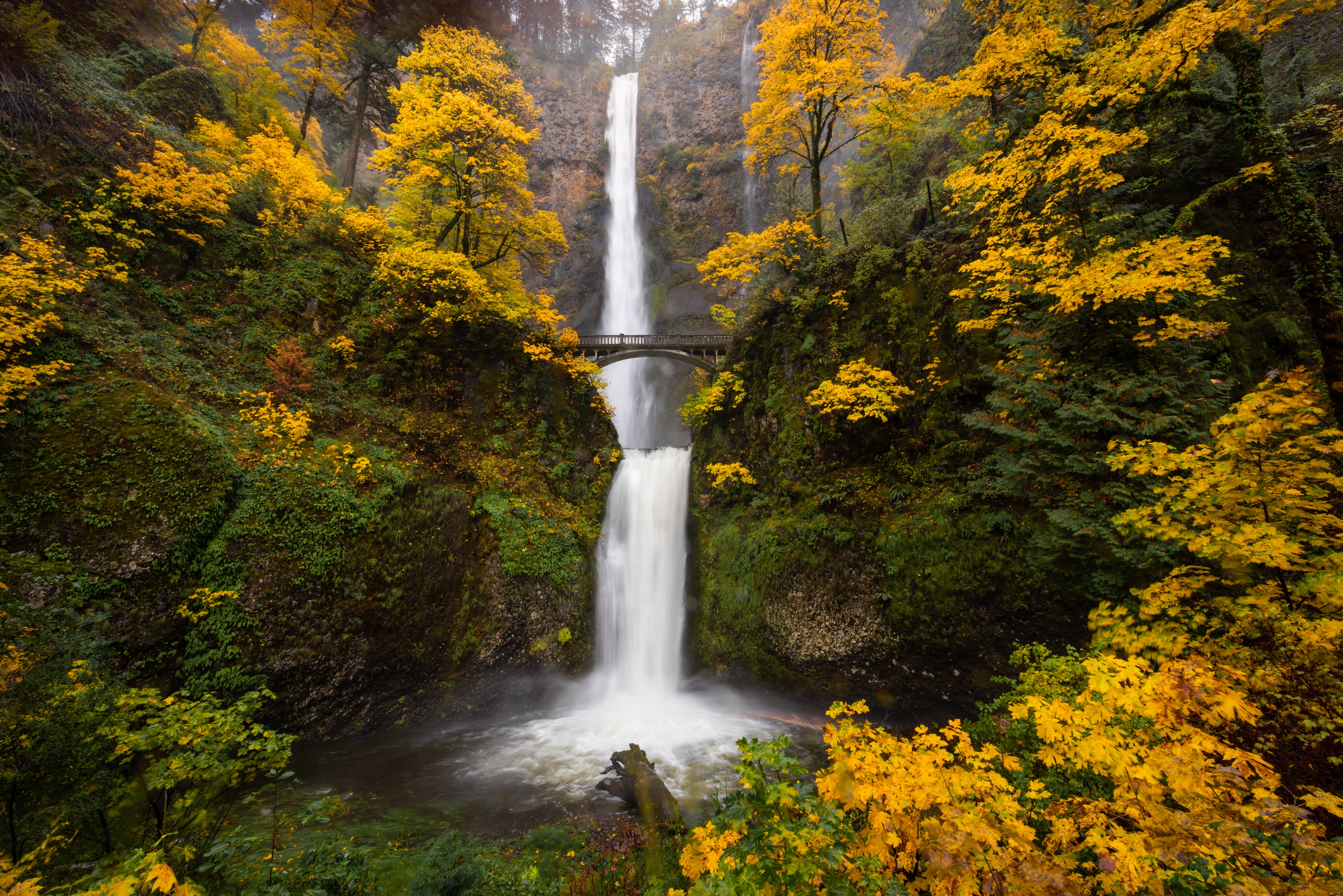 Multnomah Falls with yellow autumn foliage