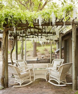 backyard seating space under pergola with white cane furniture and white wisteria in bloom