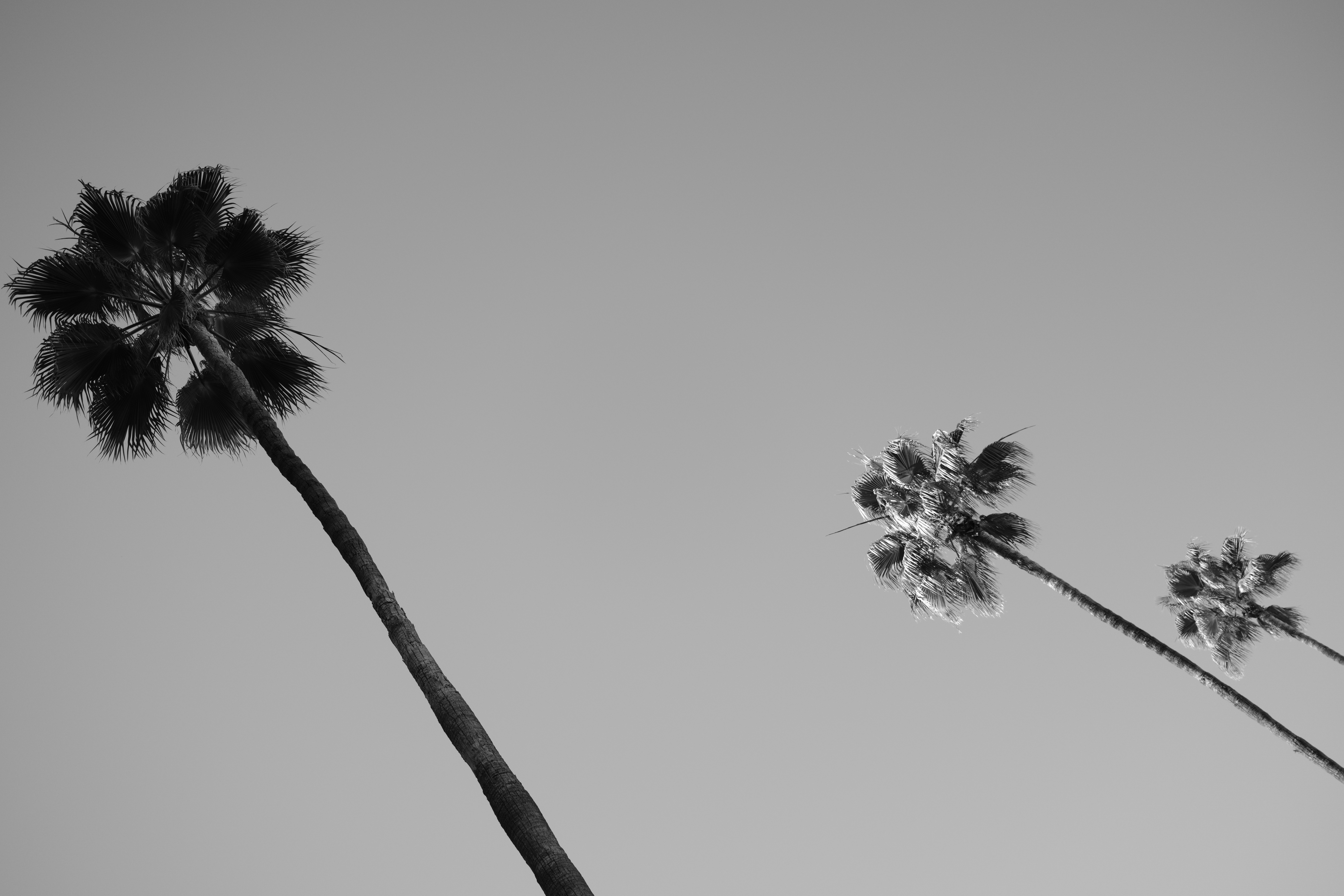 A sample photo taken with the Fujifilm X-E5 and 23mm f/2.8 R WR, unedited JPEG