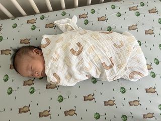 Aden and Anais Boutique Muslin Swaddle Blankets review