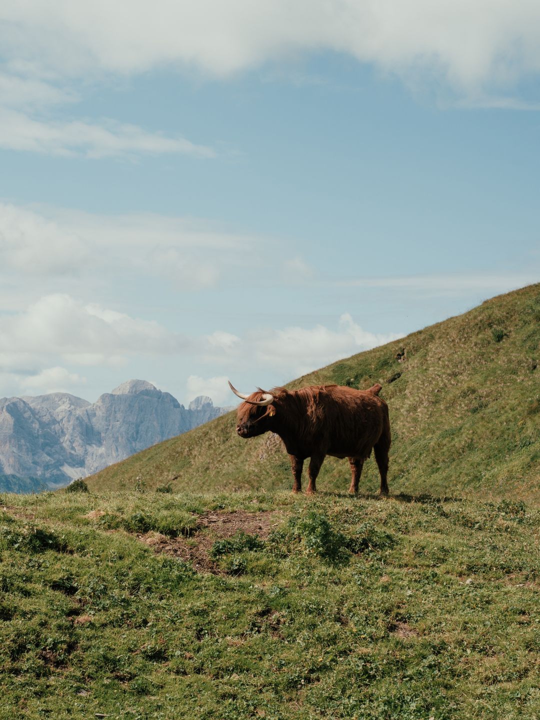 Sensoria Dolomites