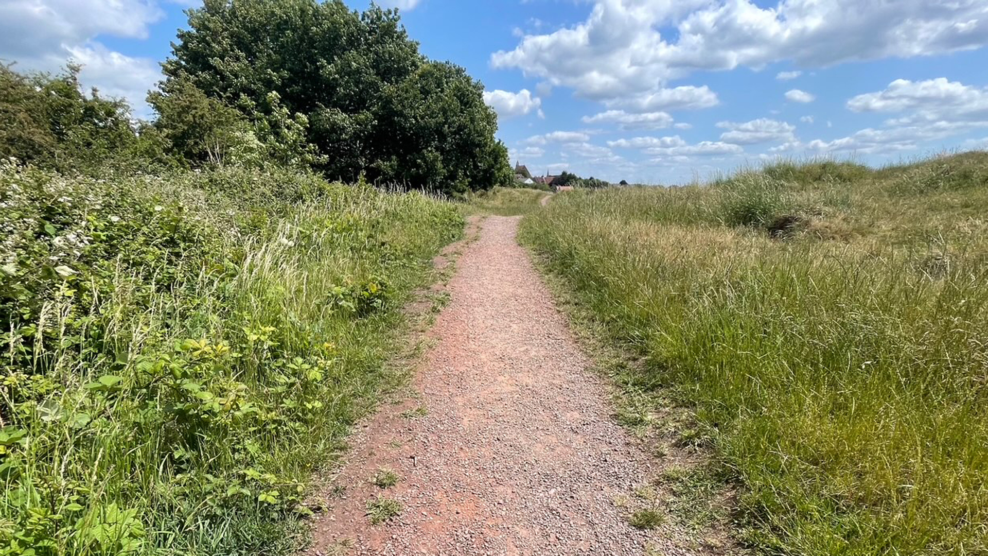 a path in a green field