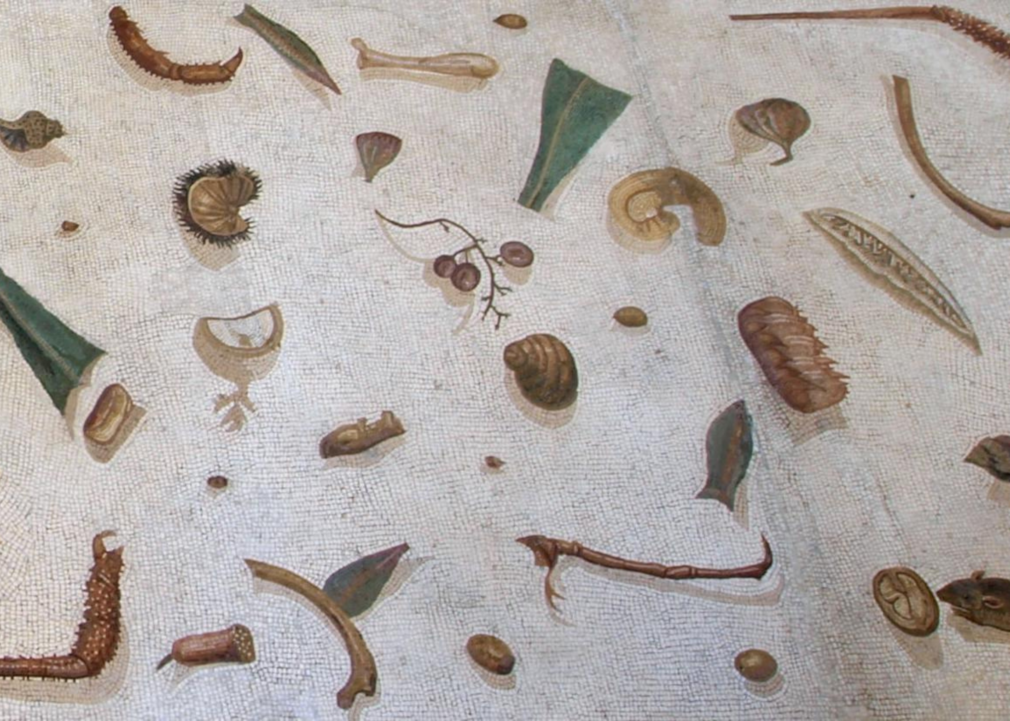 A detail of the Vatican museums unswept floor tiling