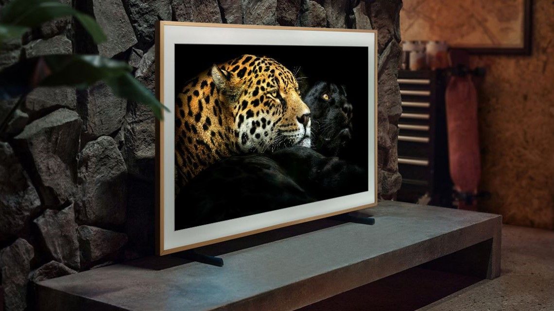 The Frame TV in living room with big cats on the screen