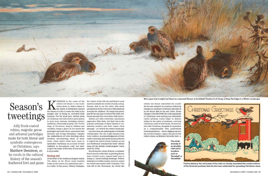 Spreads from Country Life 3 December 2025