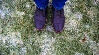 Shoes on frosty lawn