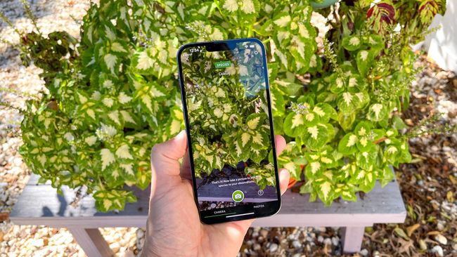 IPhone 13 Pro Max Review | Tom's Guide