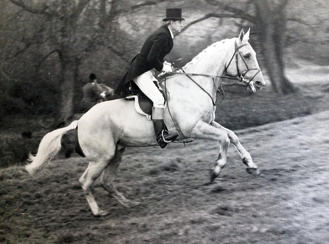 Michael Clayton on Calgary Gold, nicknamed Tex, a hunting stallion belonging to Quorn hunting farmer Geoff Brooks