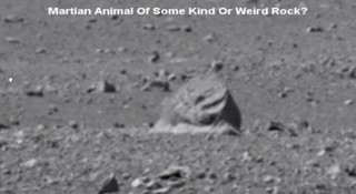 "Mars animal" spotted by one YouTube user.