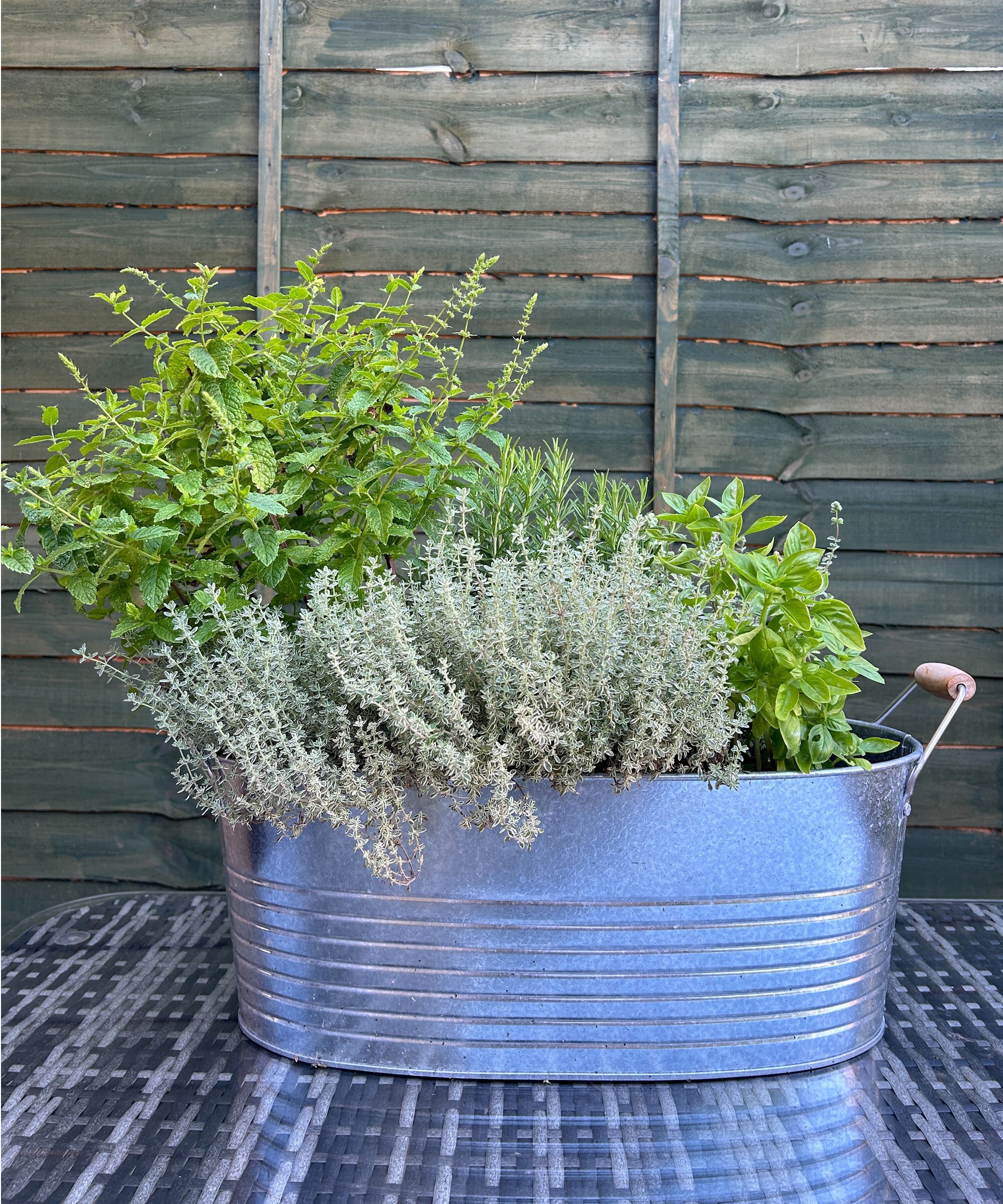 Herb garden in IKEA KORKGRAN planter