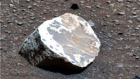 A white patterned rock on a rocky pebbled patch of ground.