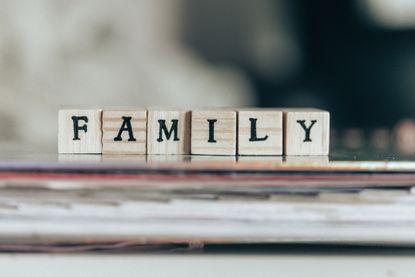 Wooden blocks with letters on the front spelling out "FAMILY".