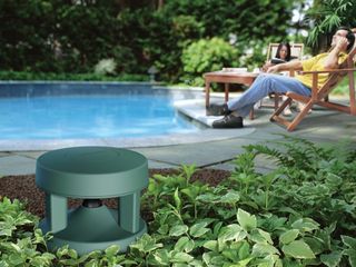 Bose FreeSpace 51 Outdoor Speakers 