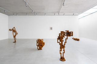 Installation view of Antony Gormley: ‘Body Field’ at Xavier Hufkens Brussels