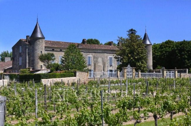 vintage 2001 taste odyssey | Decanter