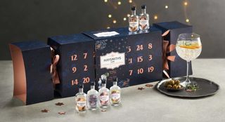 Aldi Haysmiths gin advent calendar