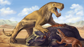 An illustration of the saber-toothed predator Inostrancevia standing above its dead prey with its jaws wide open and large canines on display.