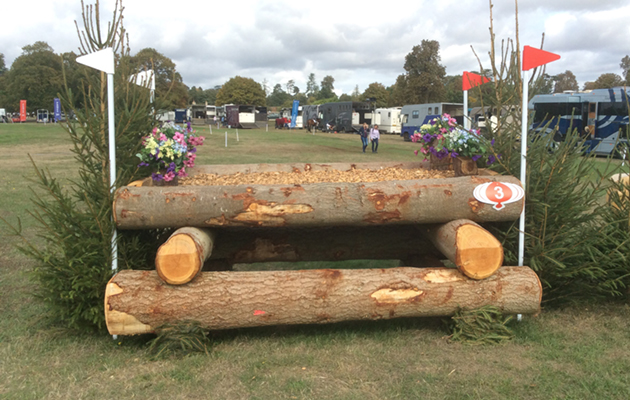 Blenheim Fences 2018