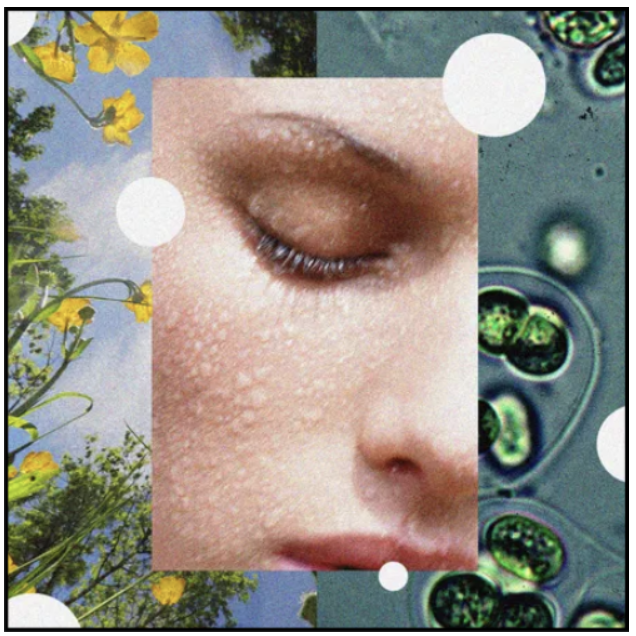 Can We Stop Hating on Chemicals In Skincare, Please and Thanks?