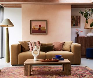 living room with pale rust coloured walls and sofa in brown