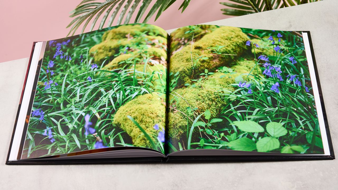 Page spread showing forestry in the Printerpix photo book