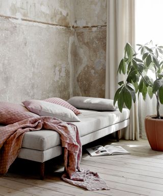 Gray daybed dressed with cushions and throw, large plant in pot, textured industrial walls, light wooden flooring