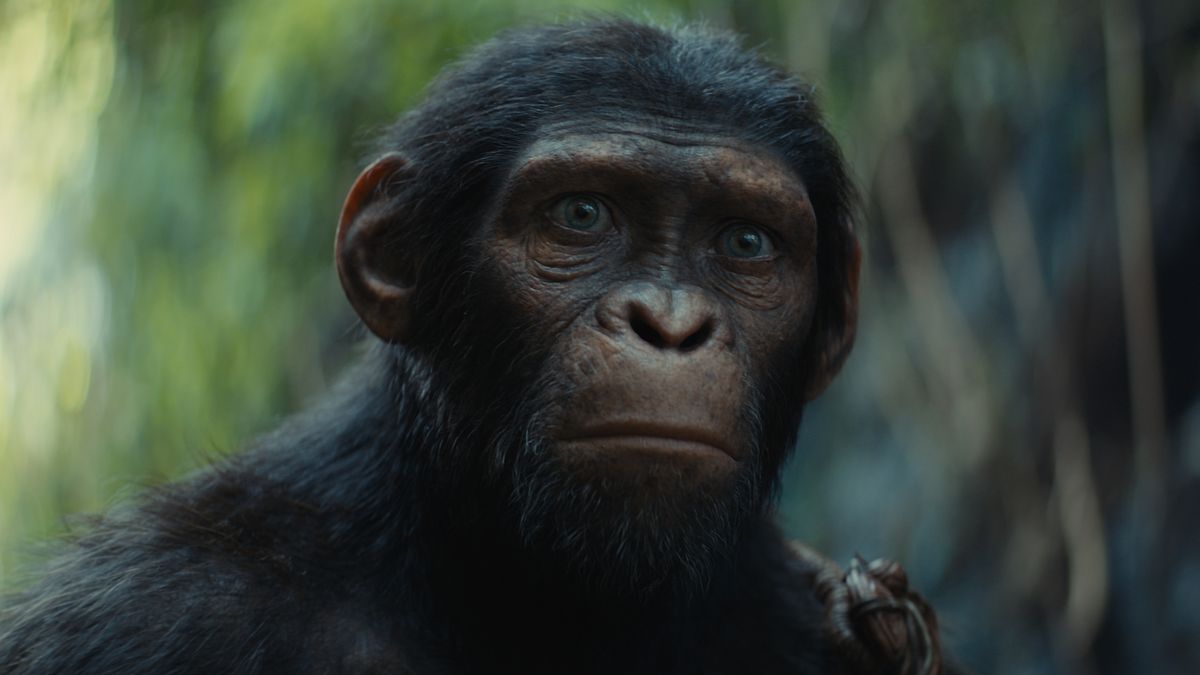 Noa (performed by Owen Teague) in &quot;Kingdom of the Planet of the Apes&quot;