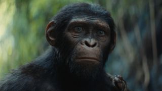 Noa (performed by Owen Teague) in &quot;Kingdom of the Planet of the Apes&quot;