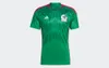 Adidas Mexico World Cup 2022 home shirt