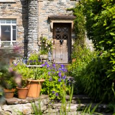 Front garden with greenery and plants