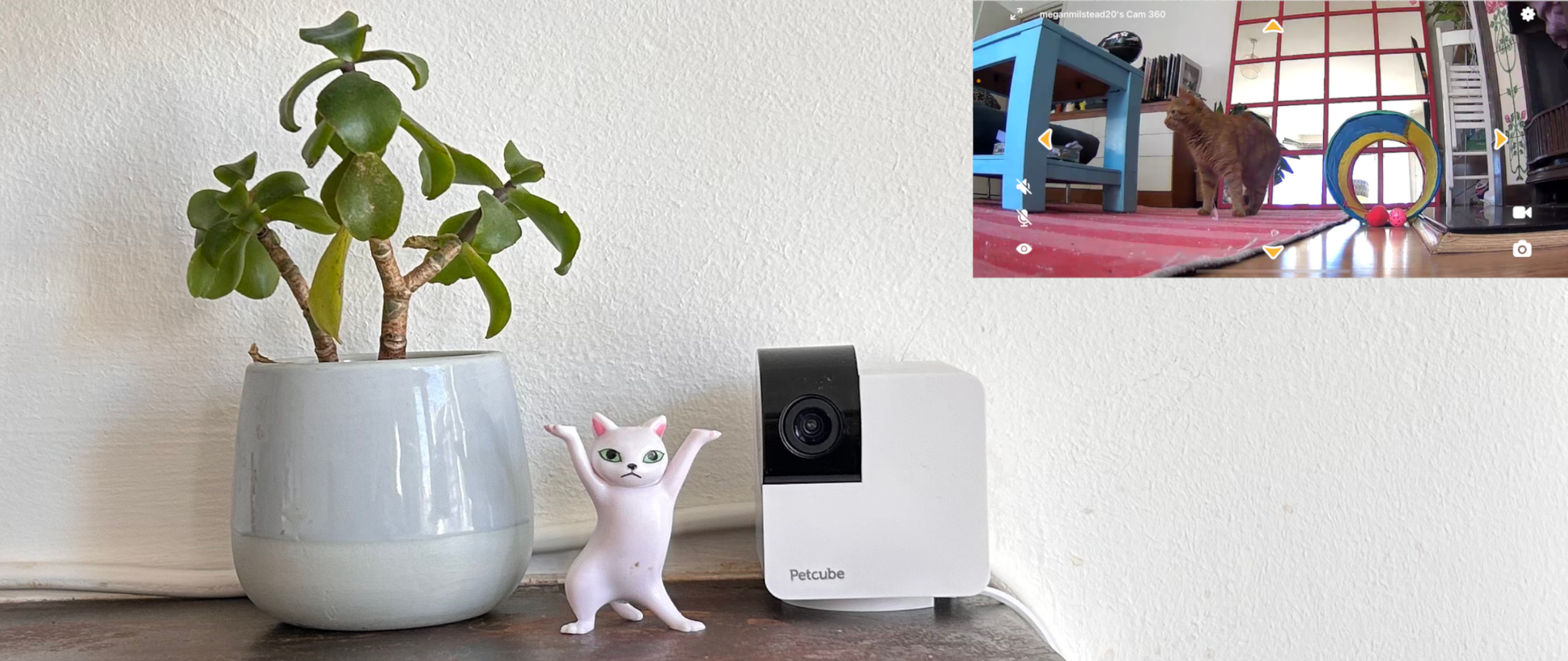 Petcube Cam 360 next to a cat figurine and mini plant, with a screenshot from the app showing Megan&#039;s cat in front of a large mirror and next to a blue table and a colorful cat tunnel toy