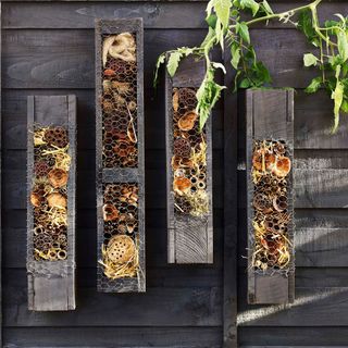 A bee hotel on a wooden fence