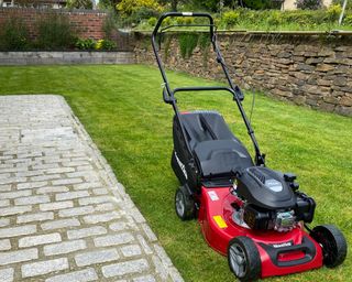Mountfield HP185 139cc lawnmower in garden