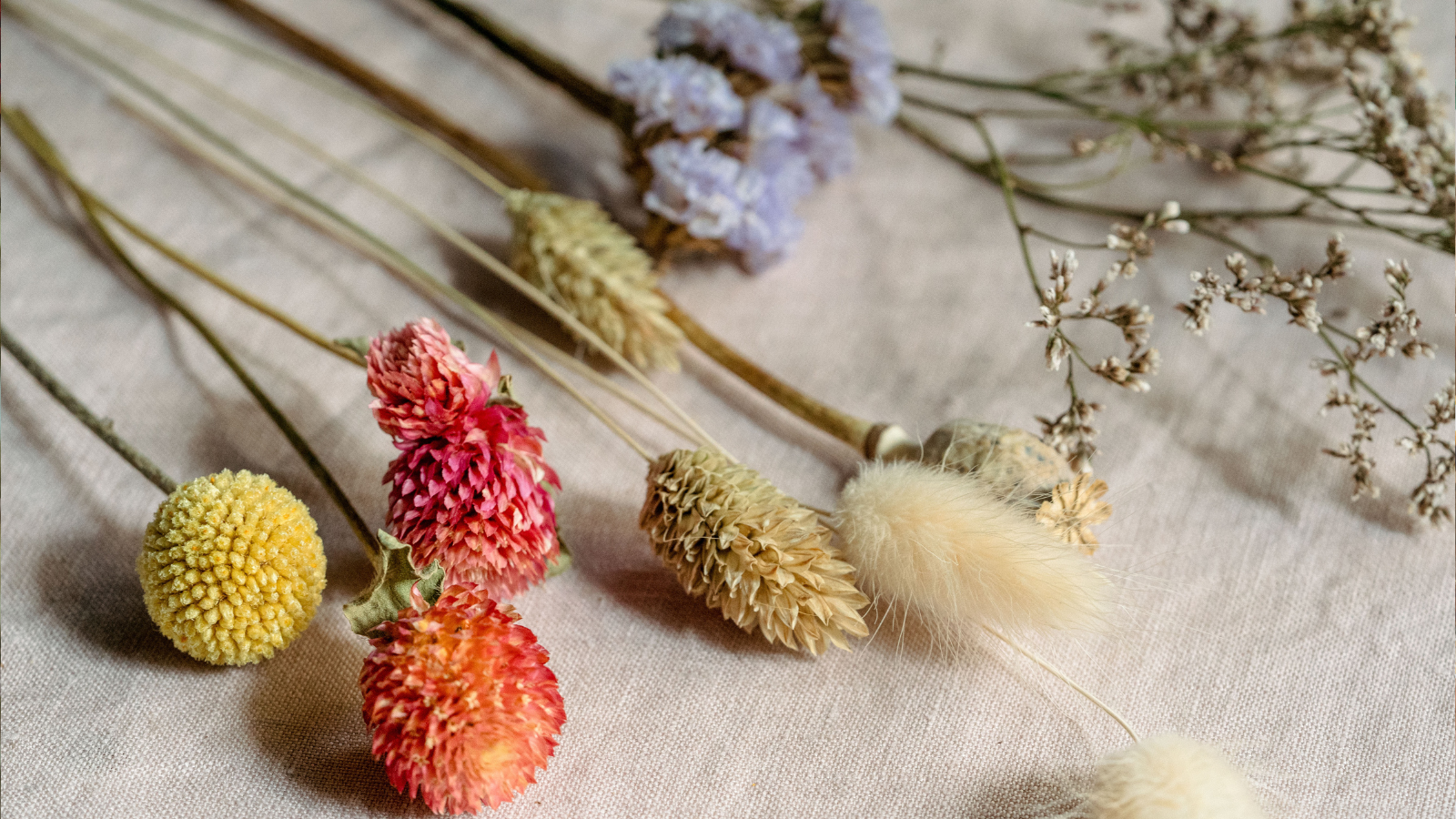 Dried flower stems laid out on pale pink linen background
