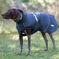 WeatherBeeta Explorer Dog Coat | Amazon.co.uk